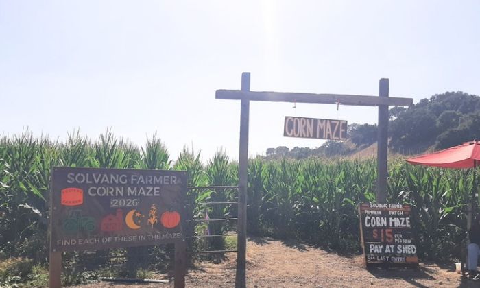 Corn Maze at Solvang Farmer