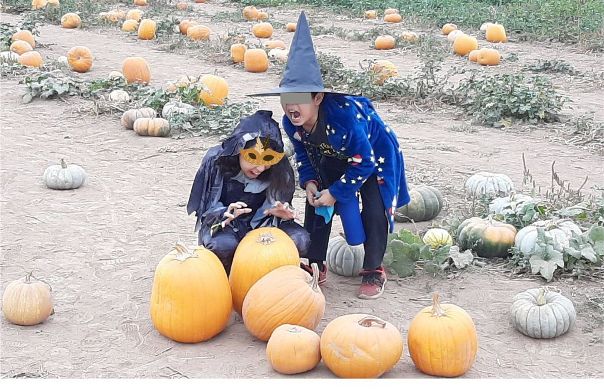 Pumpkin＆Witches